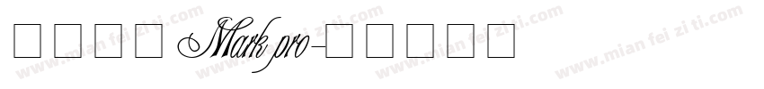 英文字体Mark pro字体转换